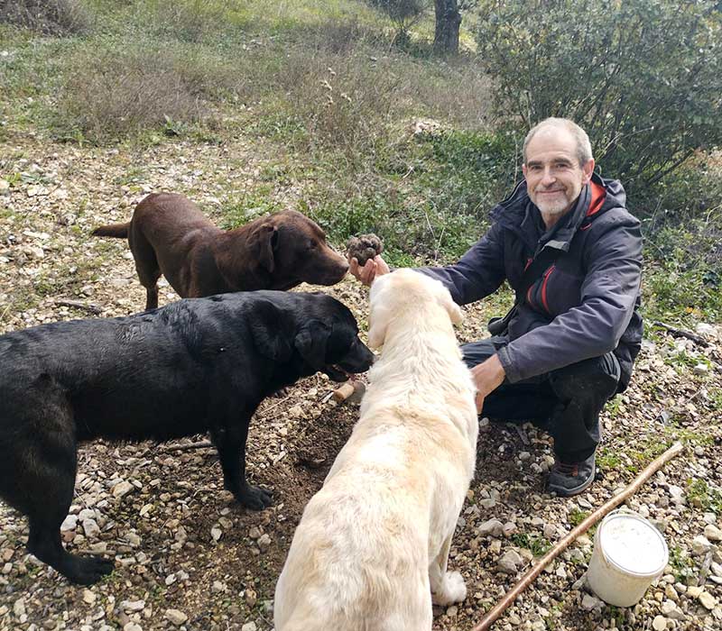 Hombre enseñando una trufa recién recolectada a sus perros.