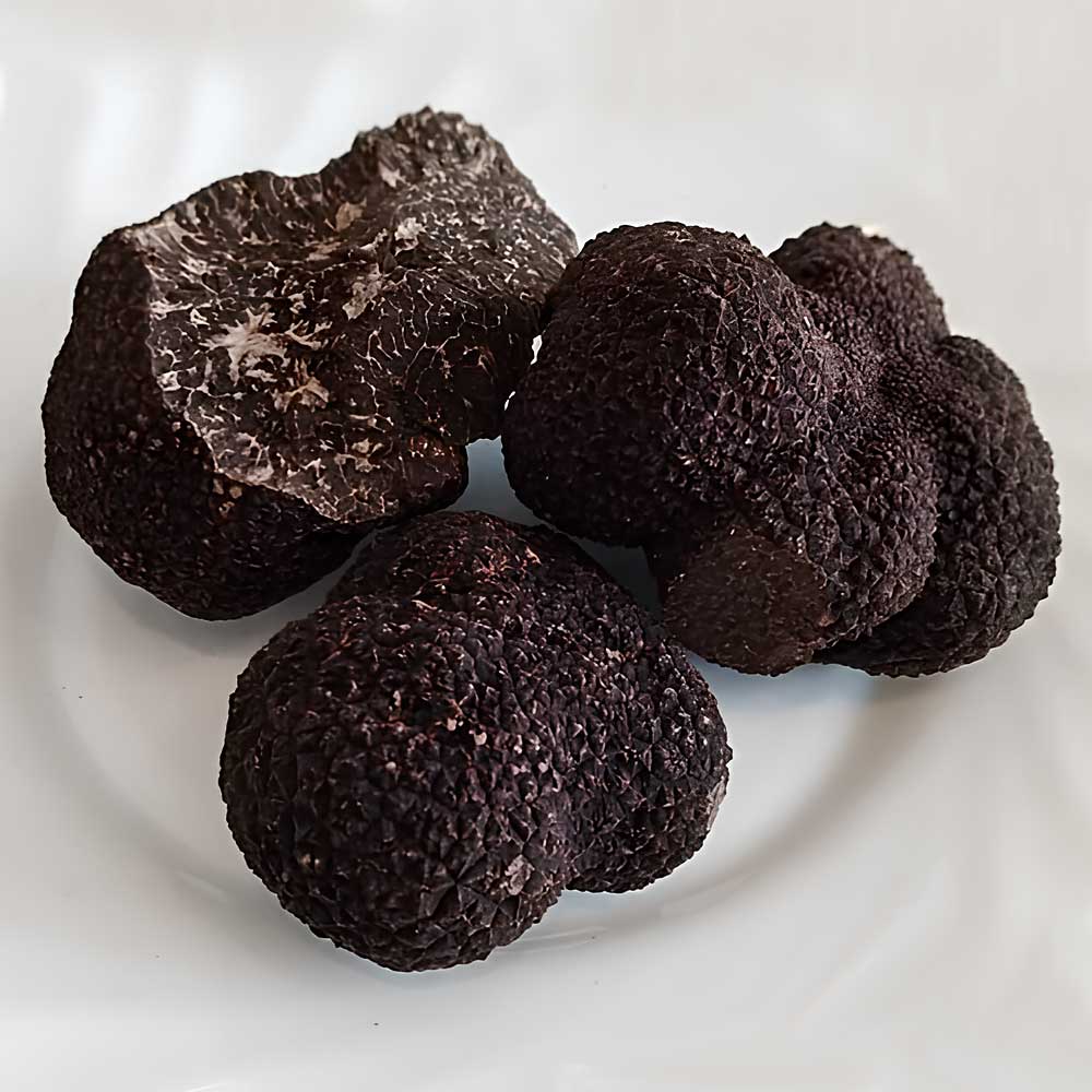 Tres trufas negras de invierno sobre un fondo blanco.