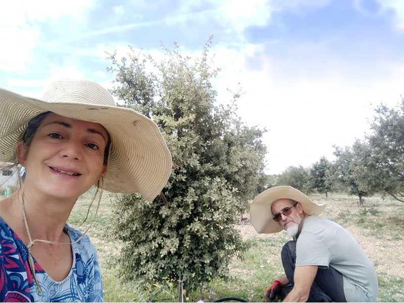 Dos empresarios de Trufa Natural cuidando árboles truferos en el campo.
