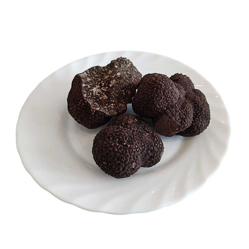 Trufas negras frescas de invierno sobre un plato blanco.