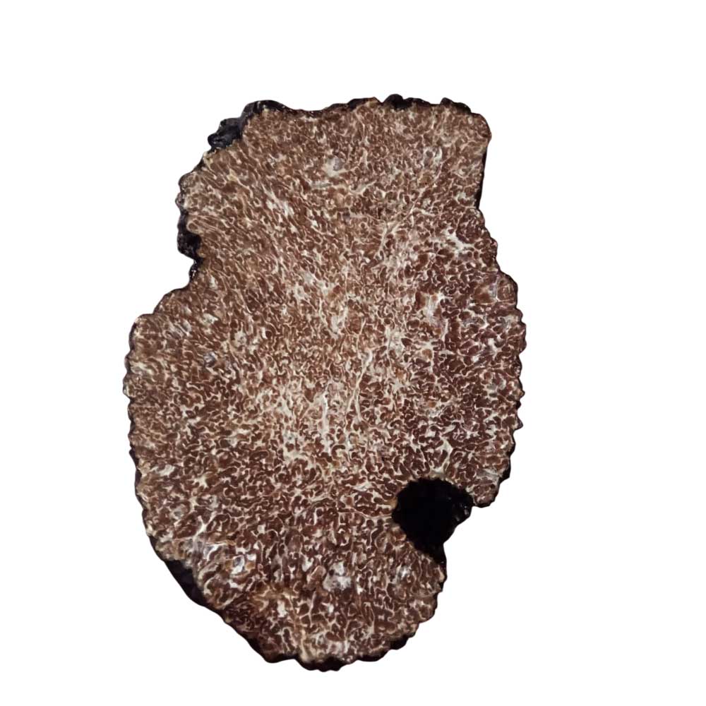 Corte transversal de una trufa de otoño, mostrando la carne marrón oscuro con vetas blancas y marrones.